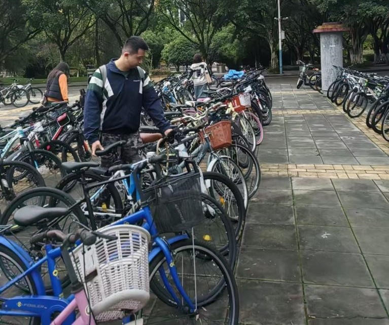 线上百家乐