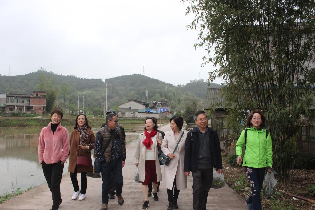 线上百家乐