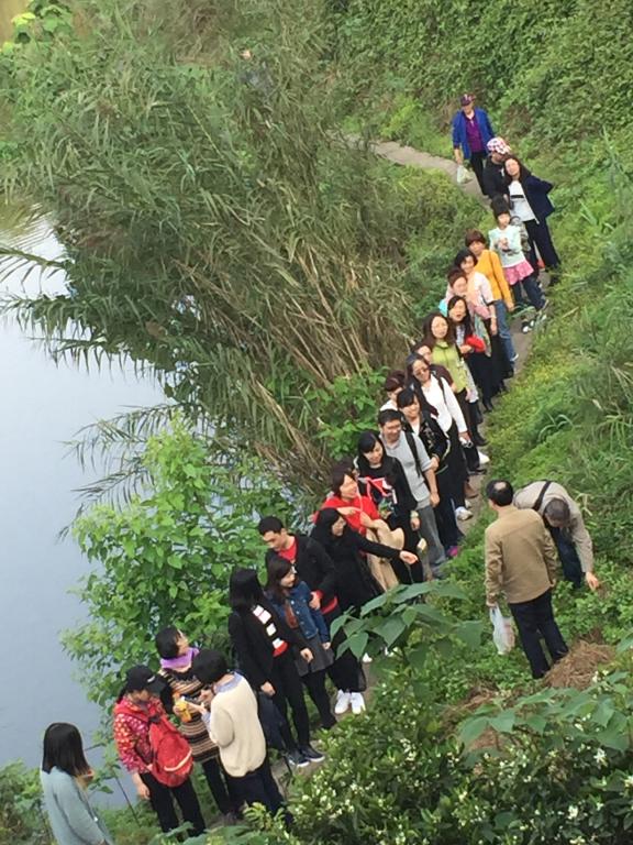 线上百家乐