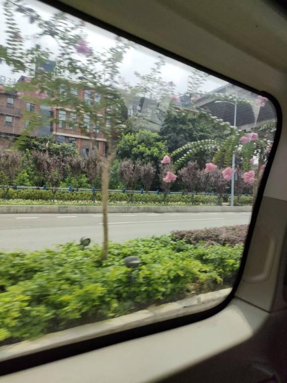 线上百家乐