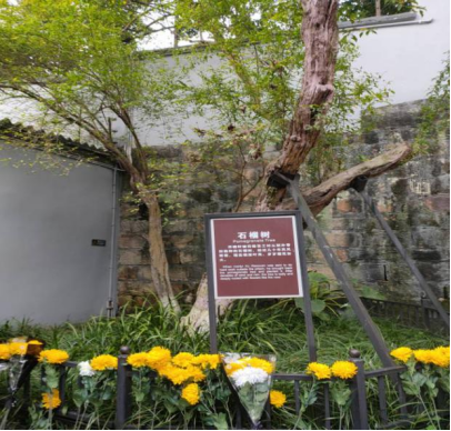 线上百家乐