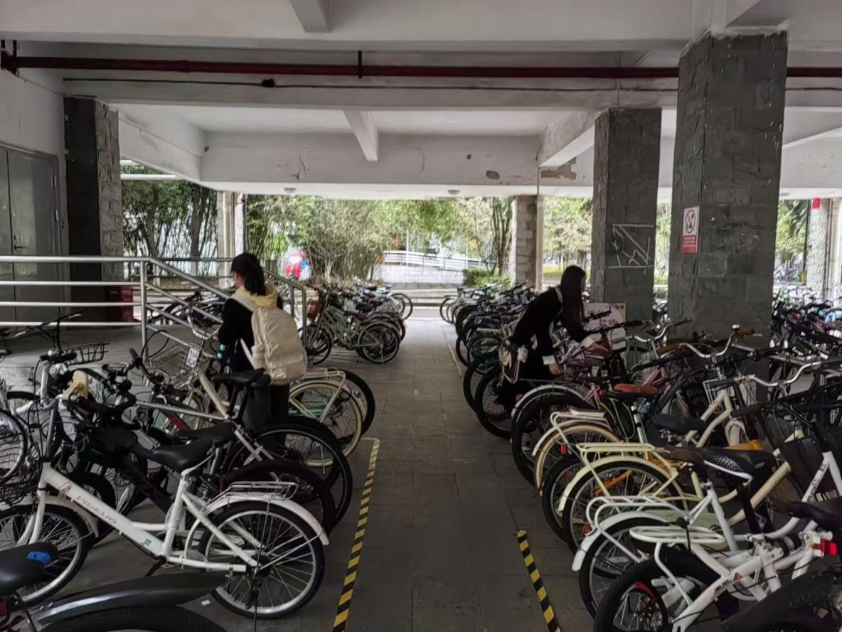 线上百家乐
