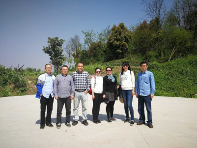 线上百家乐