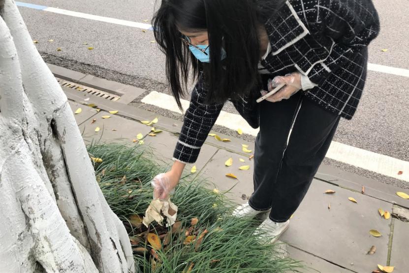 线上百家乐